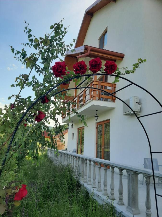 Pensiunea Agroturistica Green Odoba Sătuc Εξωτερικό φωτογραφία
