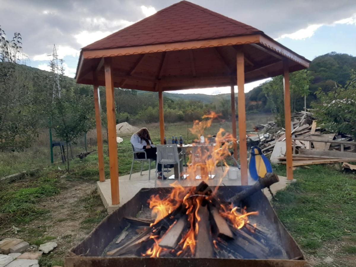 Pensiunea Agroturistica Green Odoba Sătuc Εξωτερικό φωτογραφία