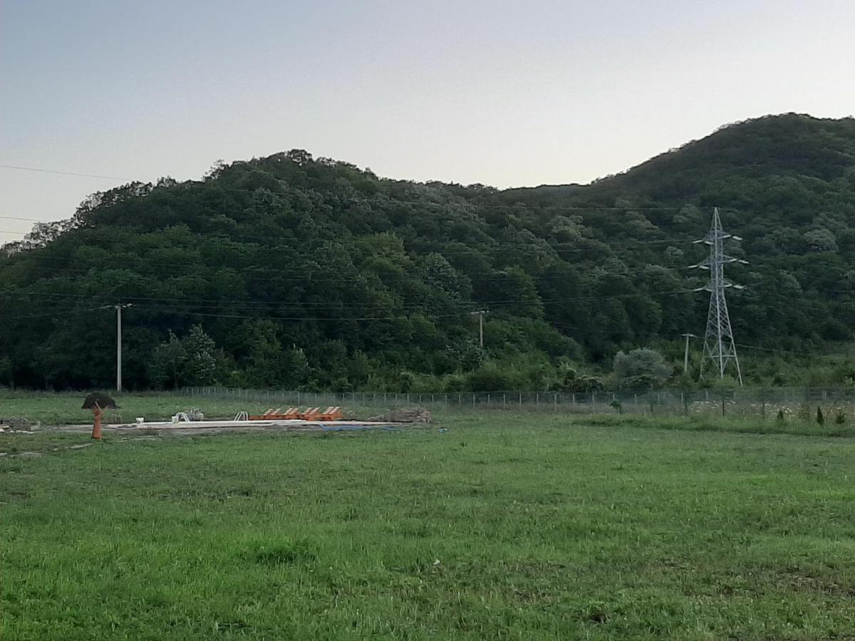 Pensiunea Agroturistica Green Odoba Sătuc Εξωτερικό φωτογραφία