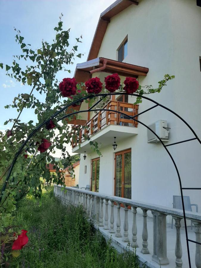 Pensiunea Agroturistica Green Odoba Sătuc Εξωτερικό φωτογραφία