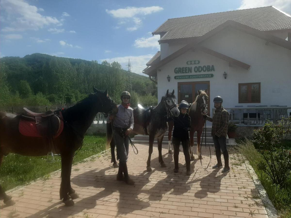Pensiunea Agroturistica Green Odoba Sătuc Εξωτερικό φωτογραφία