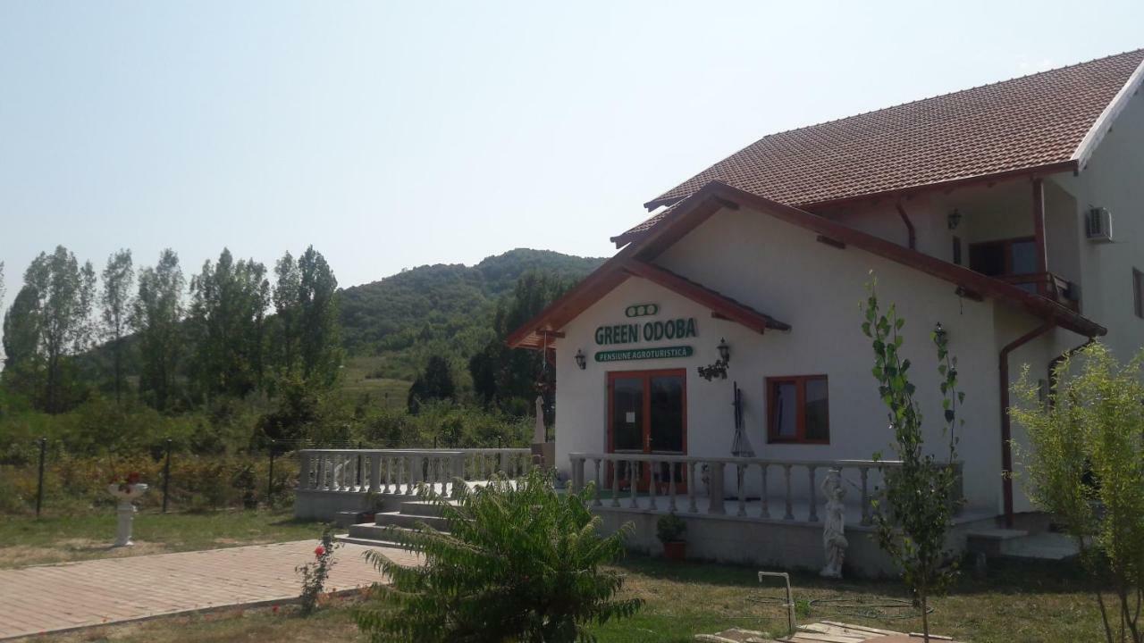 Pensiunea Agroturistica Green Odoba Sătuc Εξωτερικό φωτογραφία