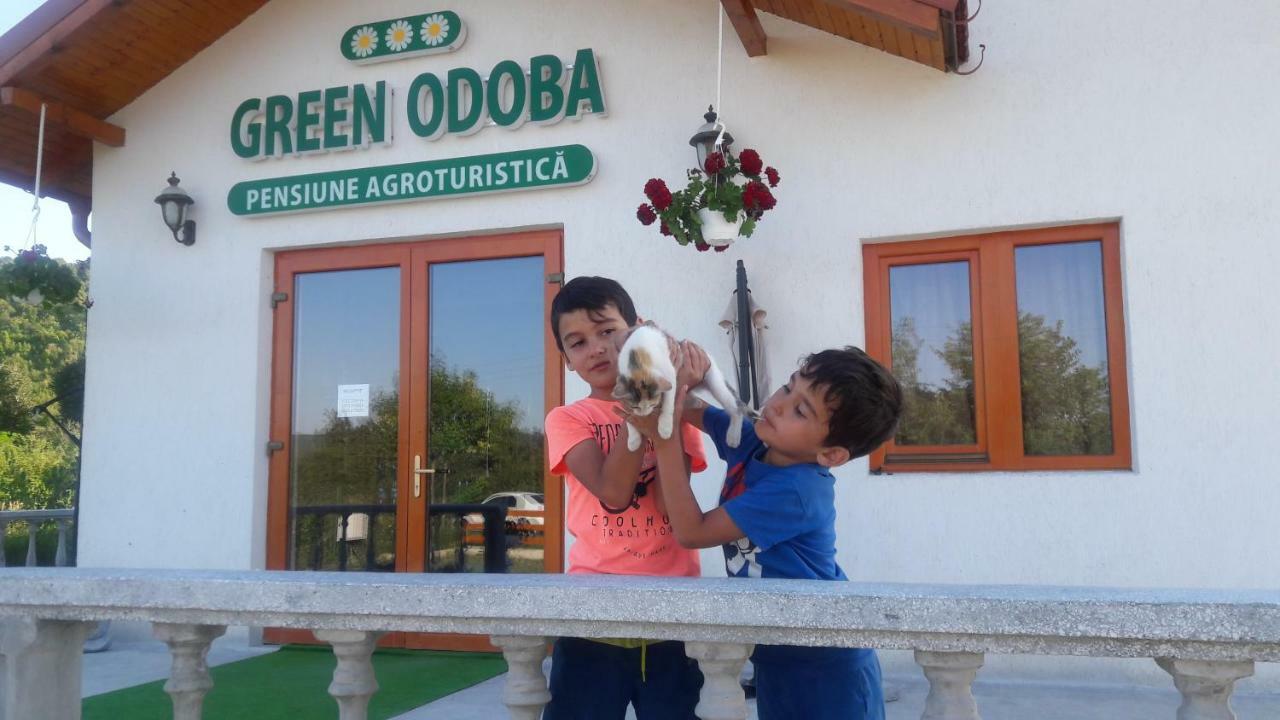 Pensiunea Agroturistica Green Odoba Sătuc Εξωτερικό φωτογραφία